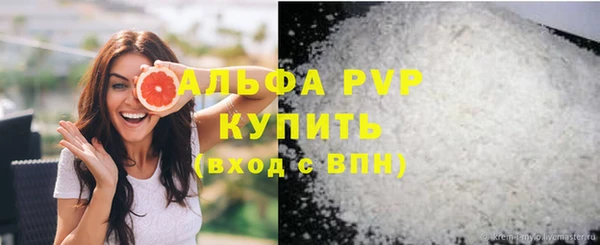 сатива Абинск