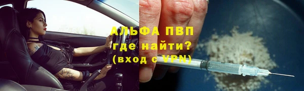 сатива Абинск