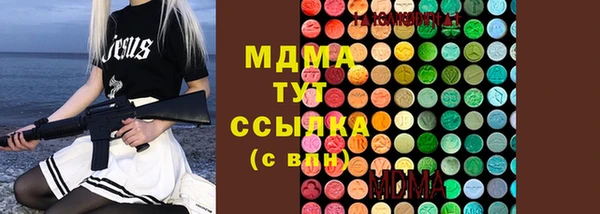 сатива Абинск
