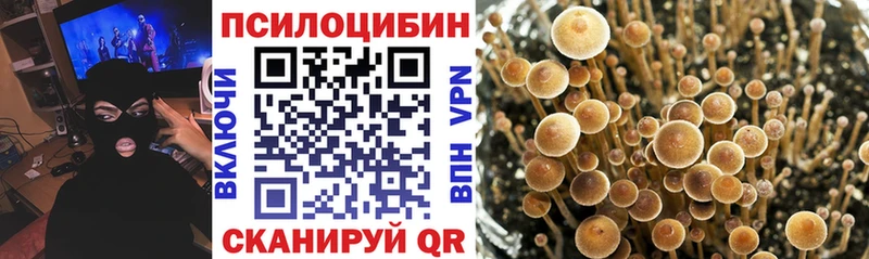Галлюциногенные грибы Cubensis  что такое   Сертолово 